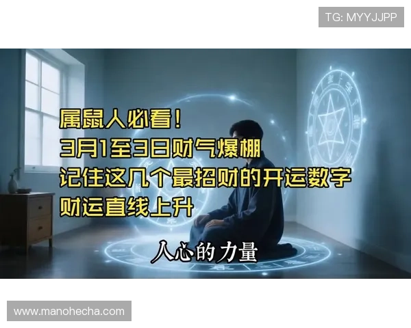 开运数字站：通过数字分析提升事业运势实现财务自由