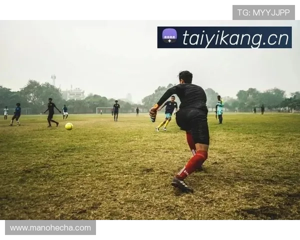 开云体育正规网址登录入口指南，帮助玩家轻松找到官方认证的安全平台