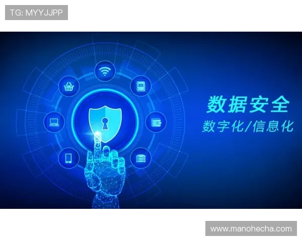 开云旗舰网站安全保障措施全解析，保障玩家个人信息与资金安全的最佳实践